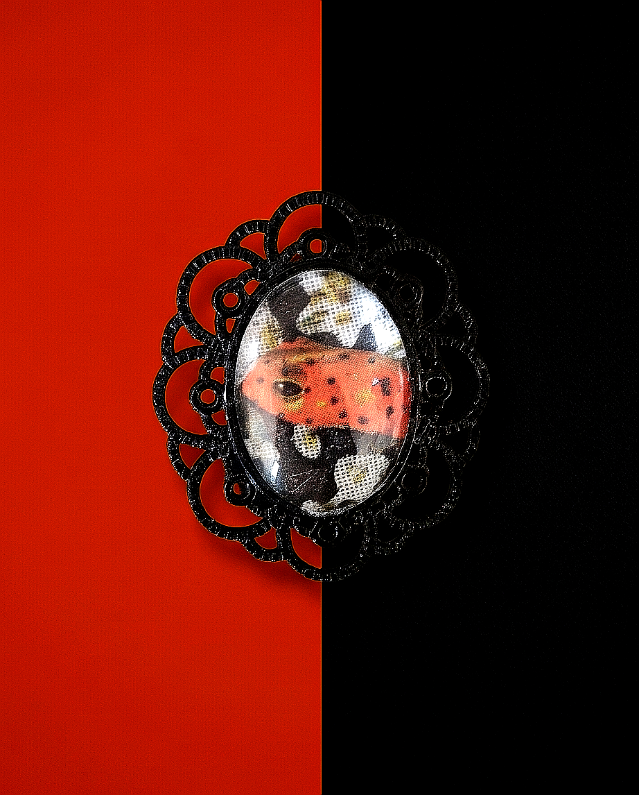 "La Rana Freccia" - Spilla Collage