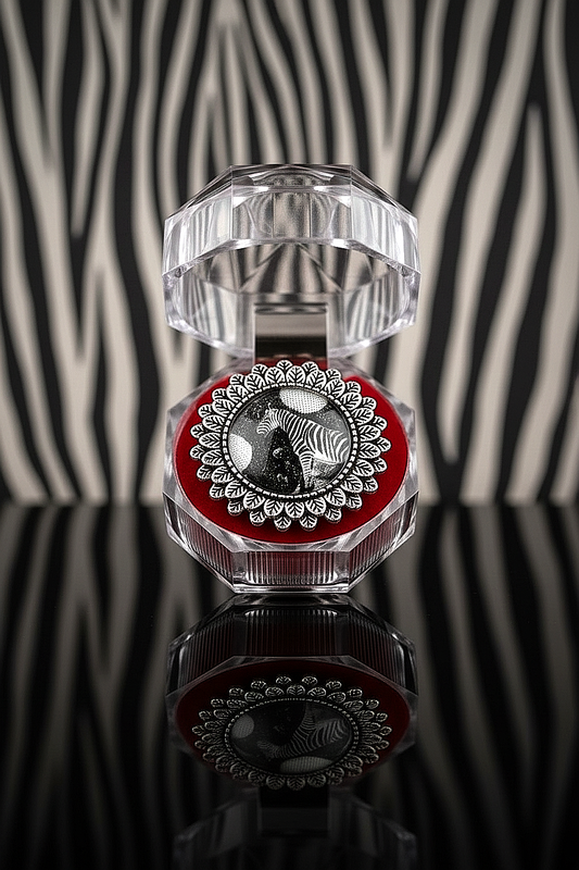 "Una Zebra a Pois" - Spilla Collage